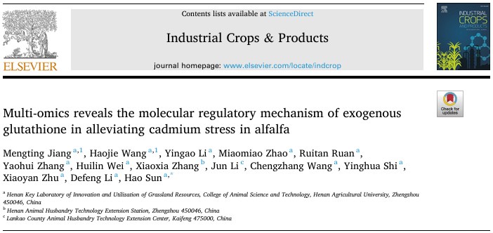 molecular regulatory mechanism of exogenous glutathione in alleviating cadmium stress in alfalfa