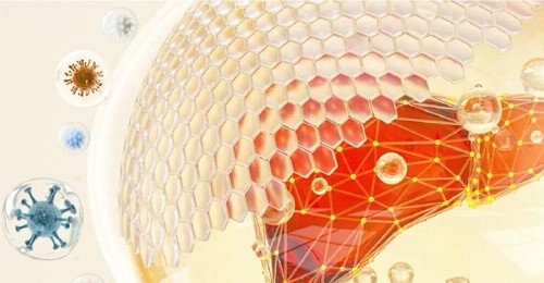 Glutathione helps detoxify alcohol and protect liver