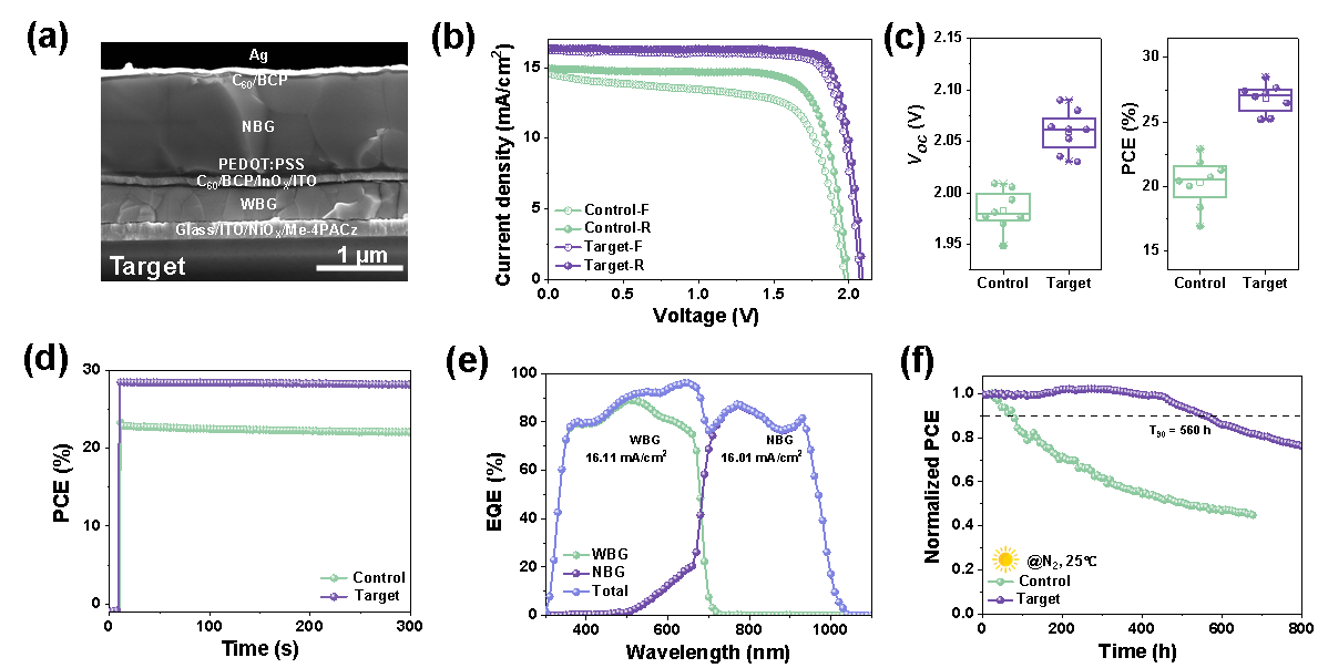 Figure 5. Enhancement of photoelectric performance of all-perovskite tandem solar cells by glutathione modification. Figure 5. Enhancement of photoelectric performance of all-perovskite tandem solar cells by glutathione modification.