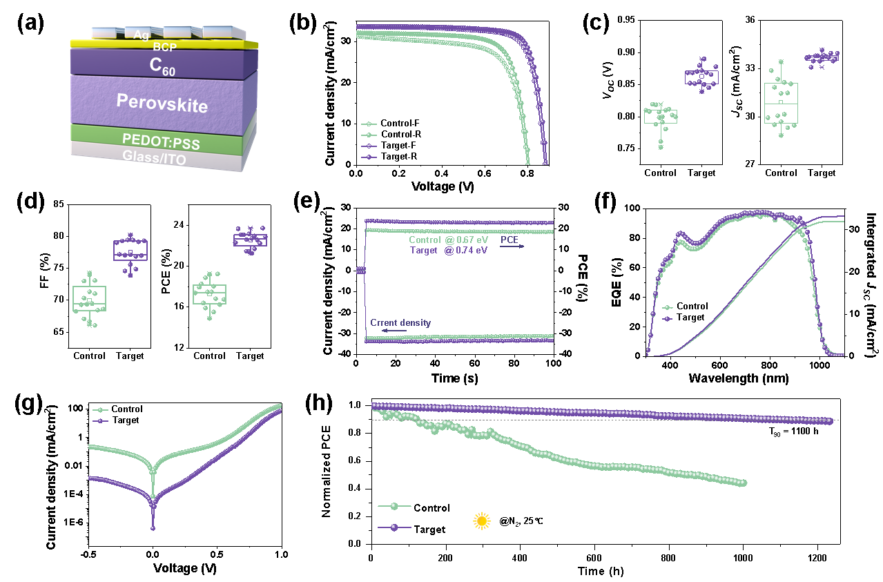 Figure 4. Regulation of the band structure and carrier transport of perovskite by glutathione. Figure 4. Regulation of the band structure and carrier transport of perovskite by glutathione.