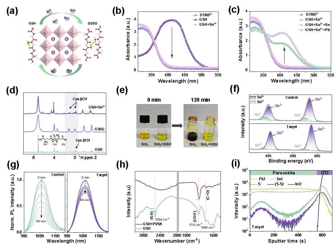 Figure 3. Enhancement of the photoelectric performance of lead-tin mixed perovskite solar cells (PSC) by glutathione modification. Figure 3. Enhancement of the photoelectric performance of lead-tin mixed perovskite solar cells (PSC) by glutathione modification.