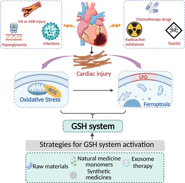 Schematic diagram of the application of reduced glutathione in different health management scenarios Schematic diagram of the application of reduced glutathione in different health management scenarios