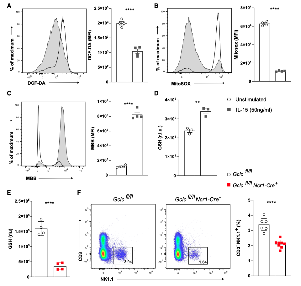 Glutathione increases due to IL-15, which helps maintain balance of NK cells in body Glutathione increases due to IL-15, which helps maintain balance of NK cells in body