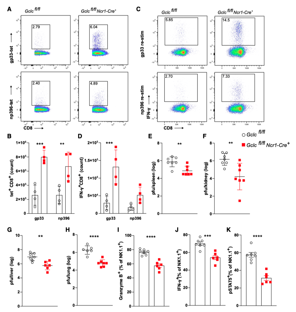 Glutathione in NK cells is crucial for inhibiting T cell responses during acute viral infections Glutathione in NK cells is crucial for inhibiting T cell responses during acute viral infections