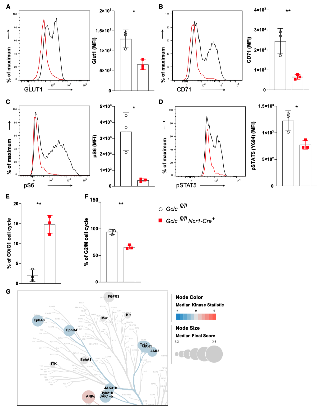 Glutathione mediates IL-15-driven mTOR activation in NK cells Glutathione mediates IL-15-driven mTOR activation in NK cells
