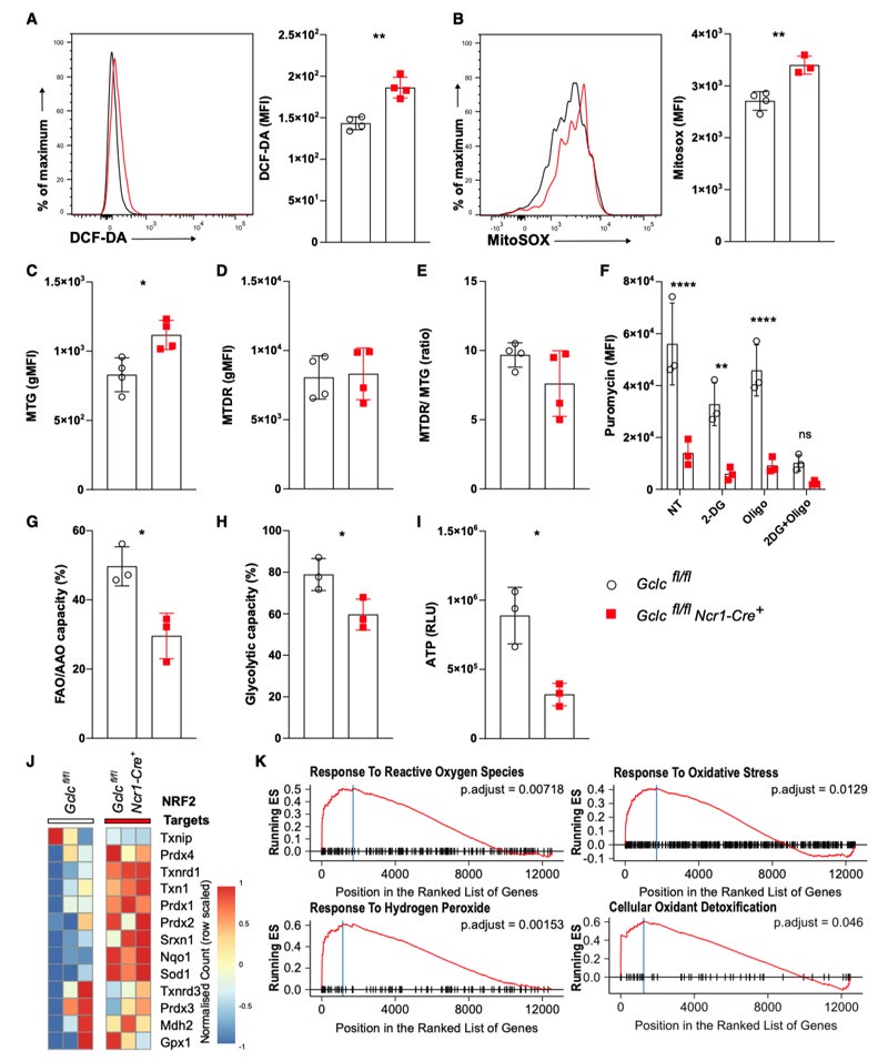 Gclc ablation will damage metabolism of NK cells Gclc ablation will damage metabolism of NK cells