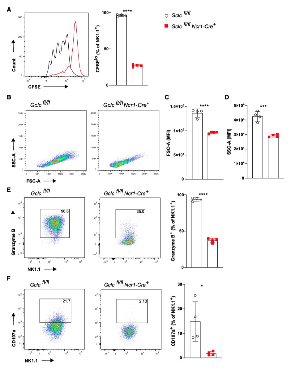 deficiency of glutathione will restrict growth and cytotoxicity of NK cells deficiency of glutathione will restrict growth and cytotoxicity of NK cells