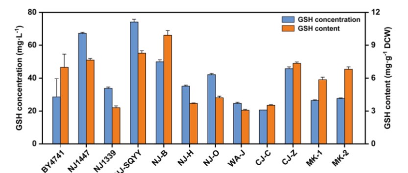 Record of glutathione production by Saccharomyces cerevisiae