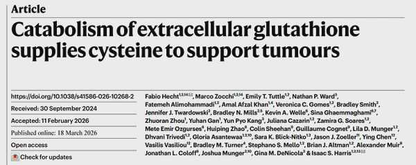 Glutathione not only acts as an antioxidant, but also nourishes cancer cells