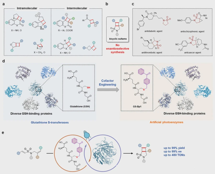 Reprogramming glutathione-binding proteins using engineered glutathione-type cofactors