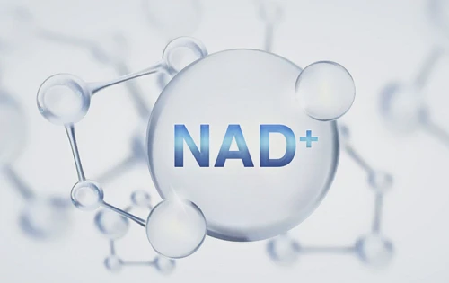 role of NAD+ in aging-related diseases and its clinical applications