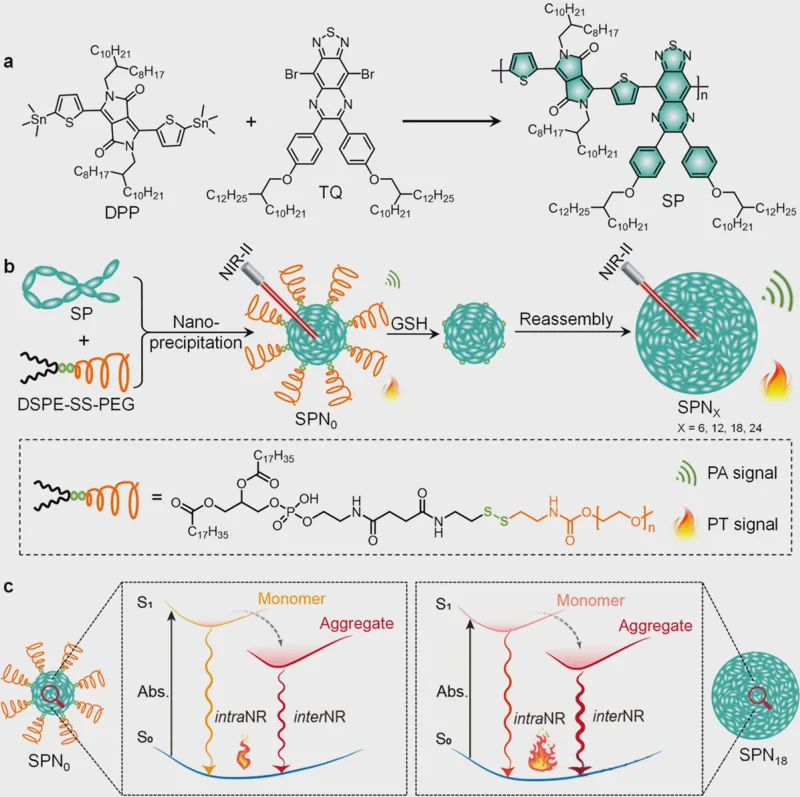 Glutathione triggers reassembly and amplification of NIR-II photothermal effect