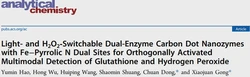 Dual-enzyme carbon dot nanoenzymes for the detection of glutathione and hydrogen peroxide