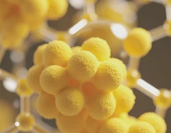 Glutathione is hub of skin antioxidant defense network