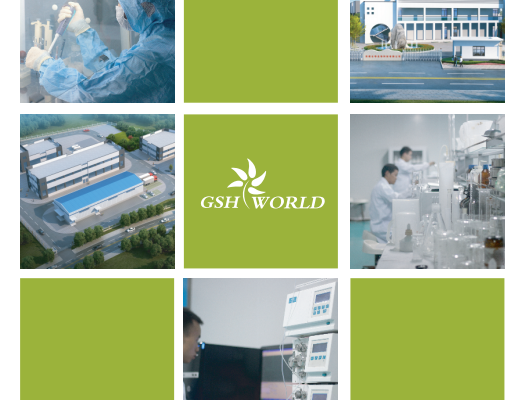 GSH WORLD | We are Running!