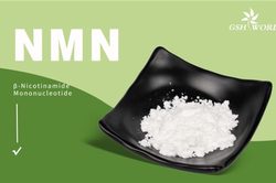 NMN Supplements: What You Need to Know