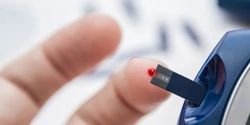 Product Information | What are the functions of NMN?