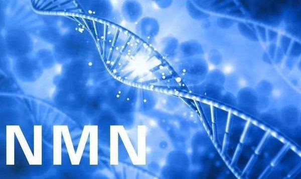 Top ten popular nmn products for anti-aging health products in 2023 NMN