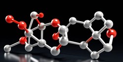 Application of glutathione in crops and its influence on crops