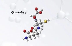 Explain what glutathione is?