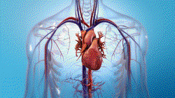 Special value of glutathione in chemoradiotherapy