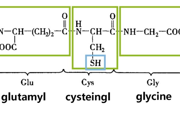 glutathione