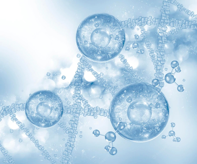 Cell metabolism