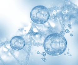 Fat cells secrete glutathione to promote breast cancer