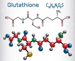 Engineered E. coli to produce glutathione efficiently