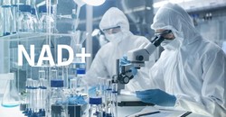 Explore NAD+ against cellular aging
