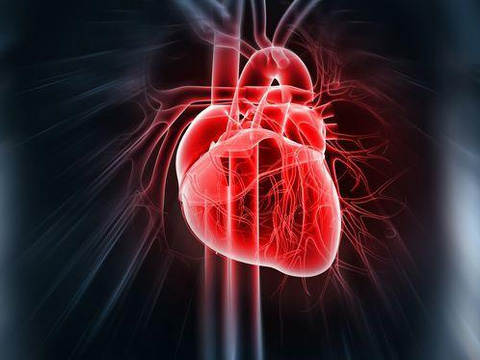 Coenzyme Q10 activates cardiac power