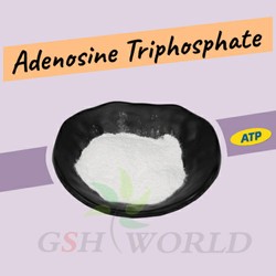 Adenosine Disodium Triphosphate Powder