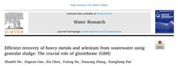 Recovery of heavy metals and selenium: a key role for glutathione