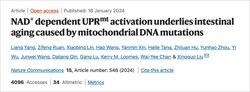 New hope for NMN to reverse intestinal aging
