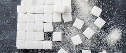 Nutritional food research and development process and process flow
