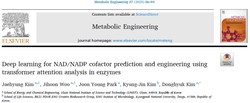 NAD/NADP cofactor prediction and engineering using Transformer in enzyme