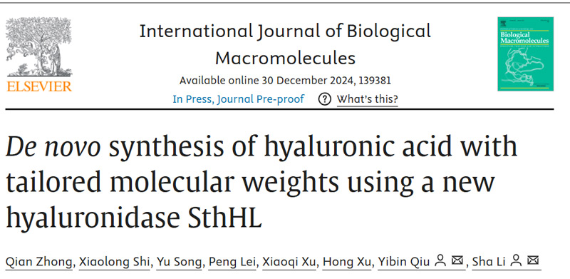 De novo synthesis of hyaluronic acid with tailored molecular weights using a new hyaluronidase SthHL