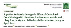 combination of NMN and coenzyme Q10 is more effective
