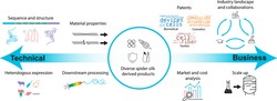 Industry review spider silk biological manufacturing barriers