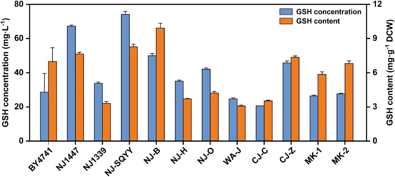 Figure 1. Comparison of glutathione levels after fermentation by multiple yeast strains