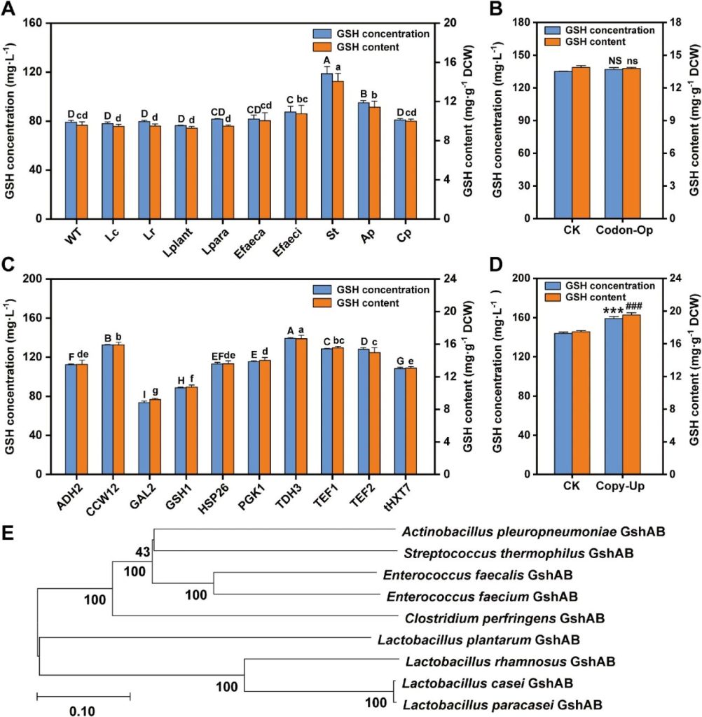 Figure 3. Effects and optimization of heterologous expression of different GSHABs in NJ-SQYY on glutathione (GSH) synthesis