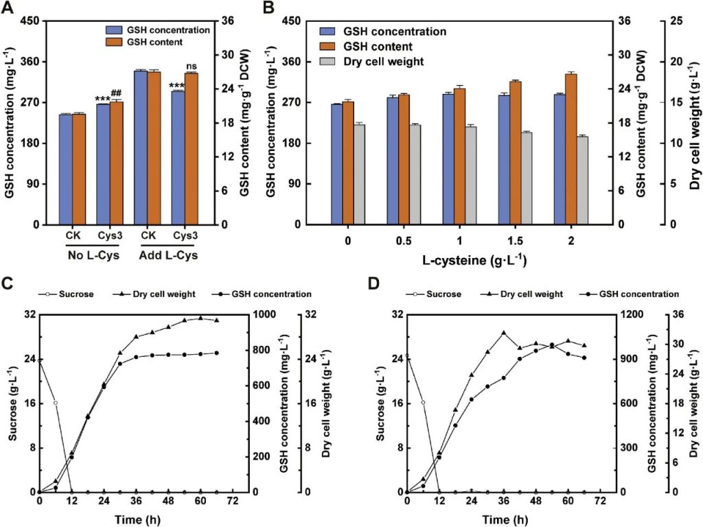 Figure 7. Fermentation conditions of the engineered yeast strain